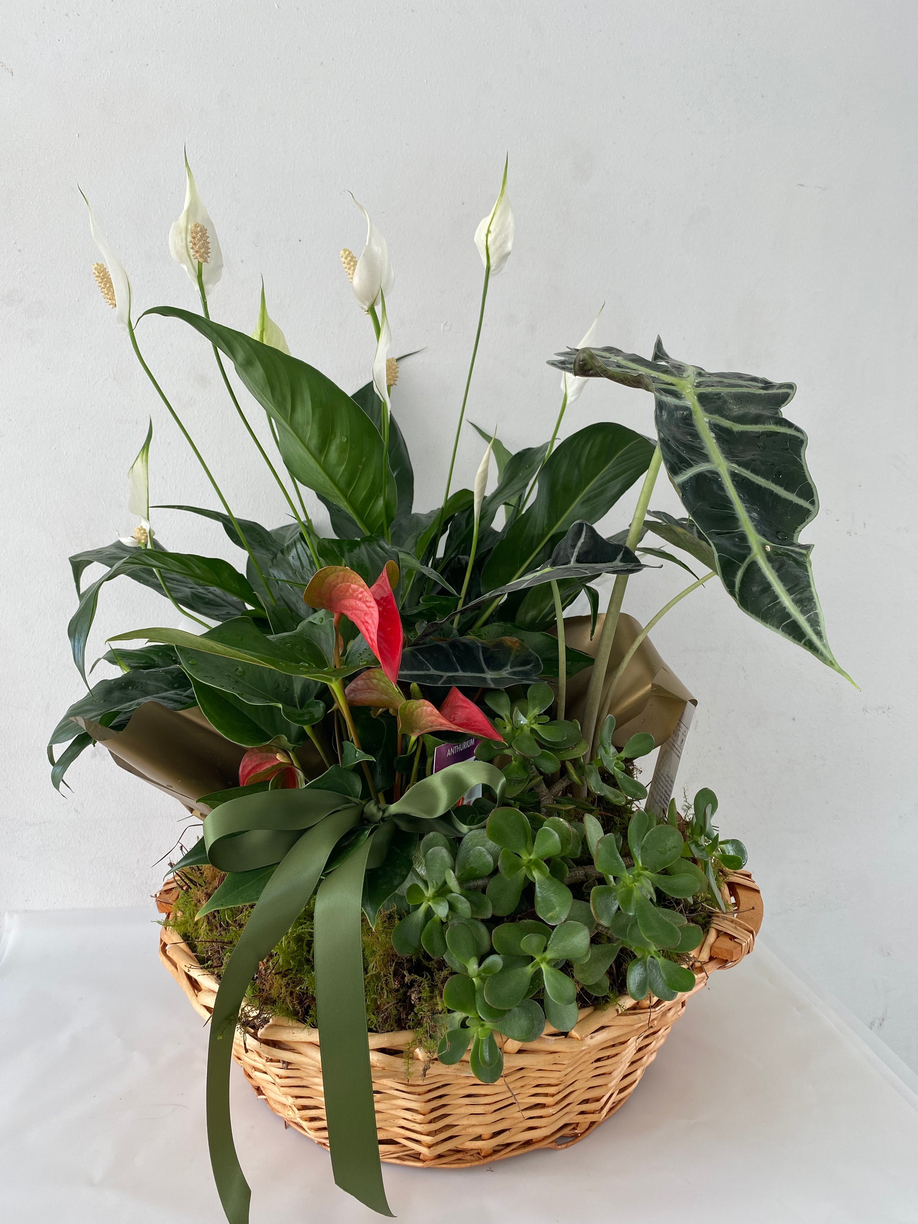 Planter Basket - Large